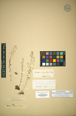 LE 01031154