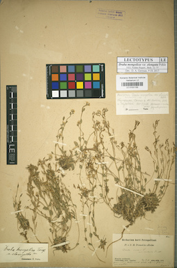 LE 01031155
