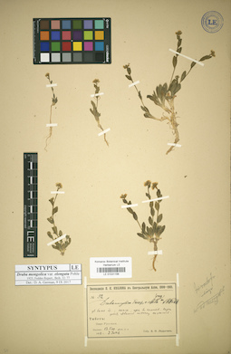 LE 01031156