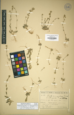 LE 01031157