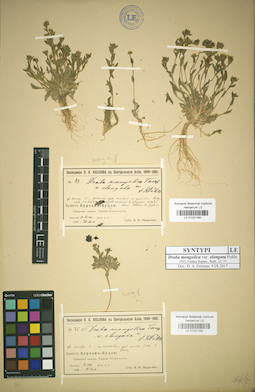 LE 01031159