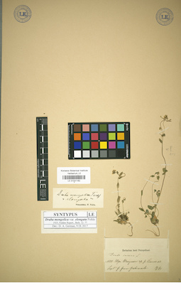 LE 01031162