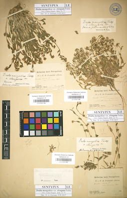 LE 01031166