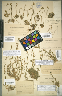 LE 01031171