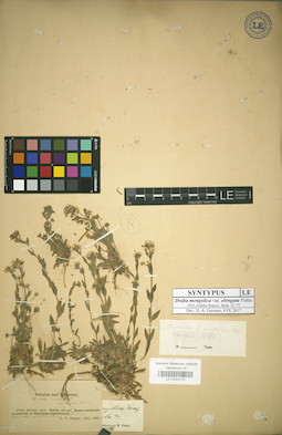 LE 01031172