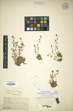 LE 01031173
