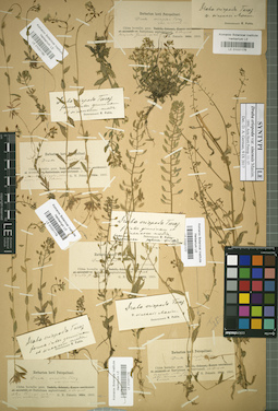 LE 01031177