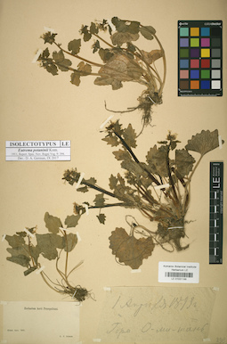 LE 01031188