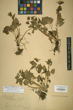 LE 01031190