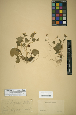 LE 01031191