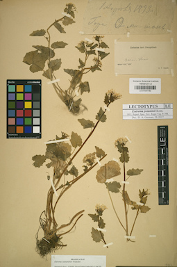 LE 01031192