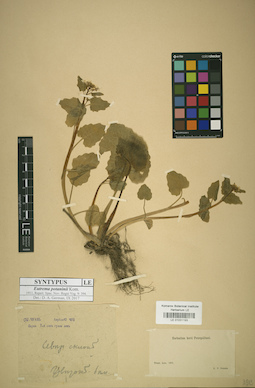 LE 01031193