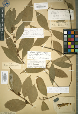 LE 01031900