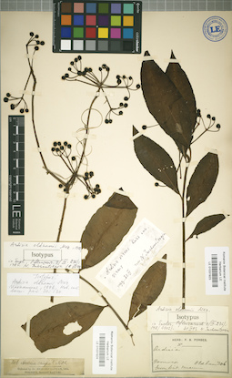 LE 01031923