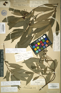 LE 01031926