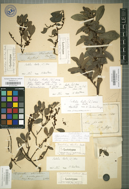 LE 01031945