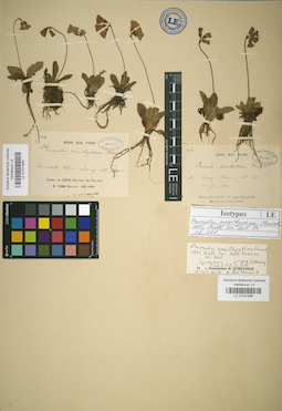 LE 01031955