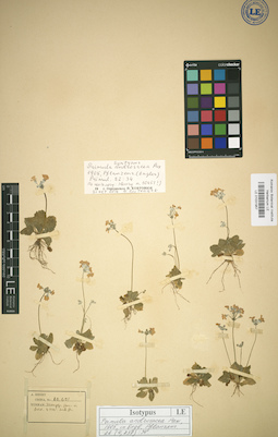 LE 01031957