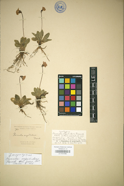 LE 01031962