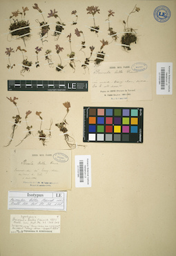 LE 01031965