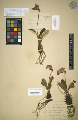 LE 01031971