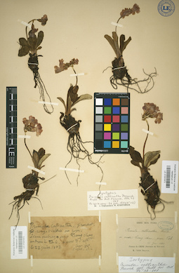 LE 01031972