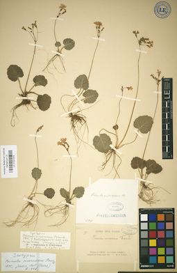 LE 01031978