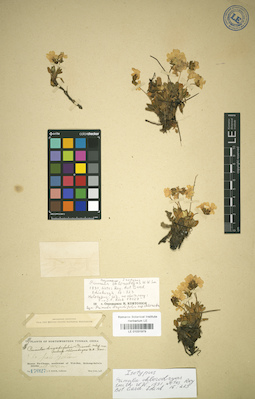 LE 01031979