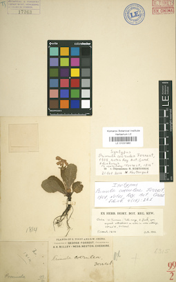 LE 01031980