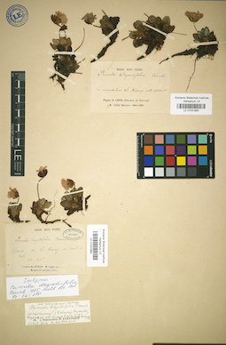 LE 01031983
