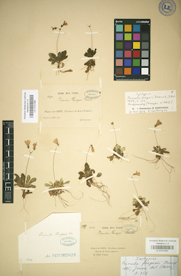 LE 01031986