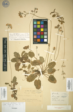 LE 01031989