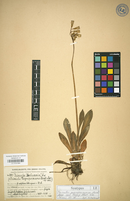 LE 01031994