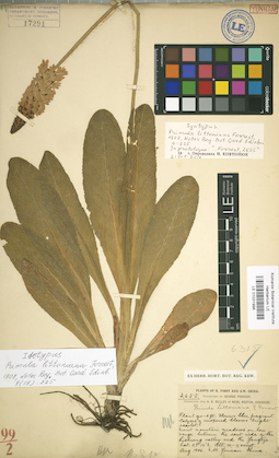 LE 01031998