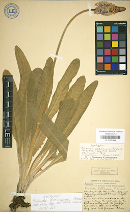 LE 01031999