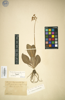LE 01032002