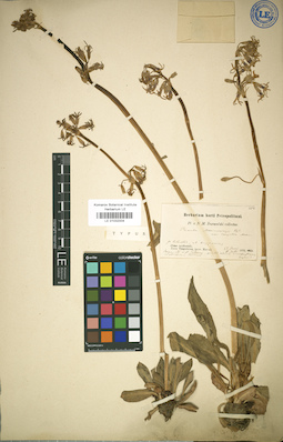 LE 01032004