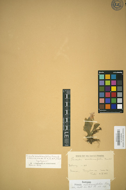 LE 01032005