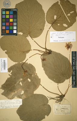LE 01032011