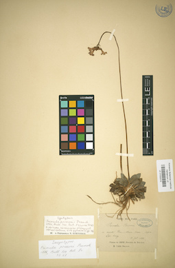 LE 01032015