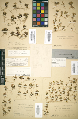 LE 01032020