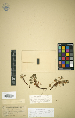 LE 01032025
