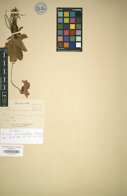 LE 01032027