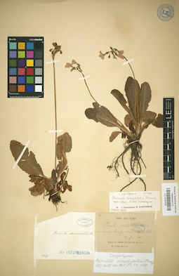LE 01032029