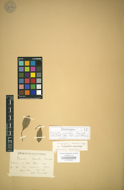 LE 01032036