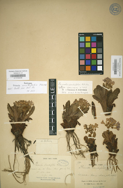 LE 01032037