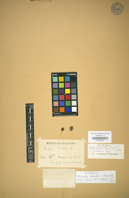 LE 01032041