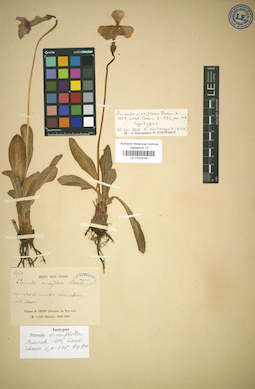 LE 01032048