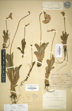 LE 01032049