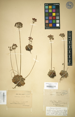 LE 01032053